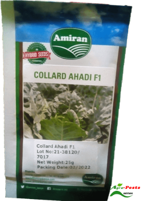 Picture of Ahadi F1
