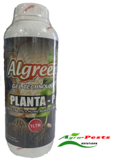 Picture of Algreen Planta P