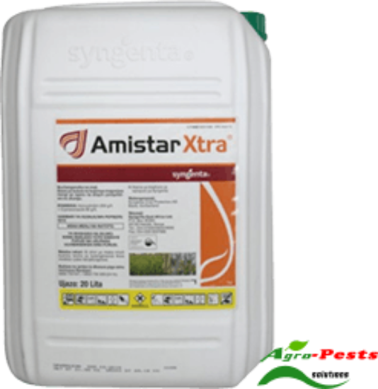 Picture of Amister