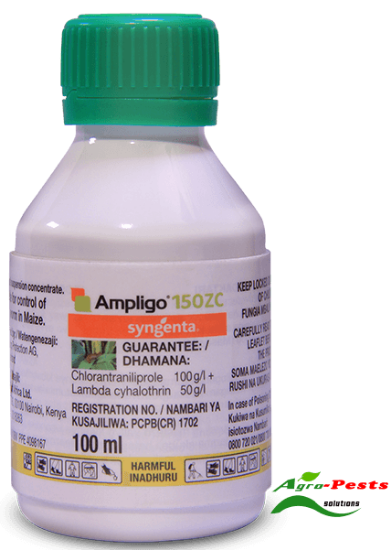 Picture of Ampligo