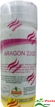 Picture of Aragon