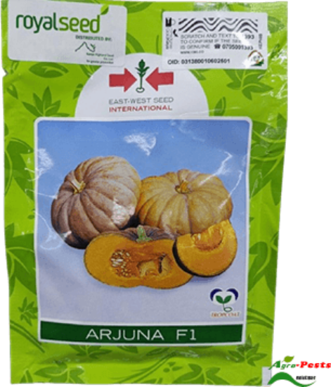 Picture of Arjuna F1