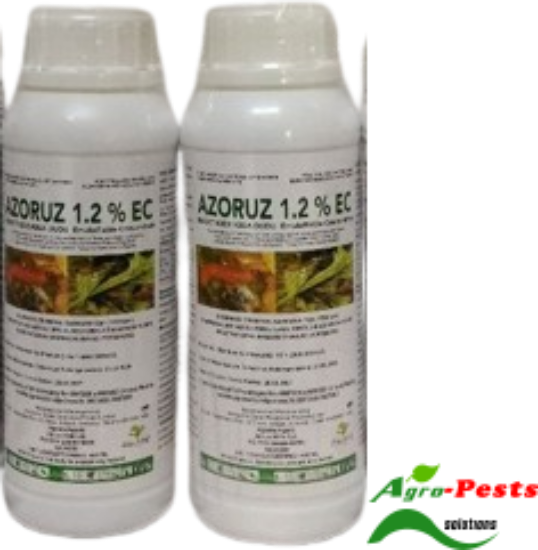 Picture of Azoruz 1.2_-1