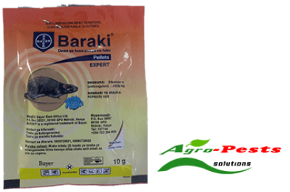 Picture of Baraki