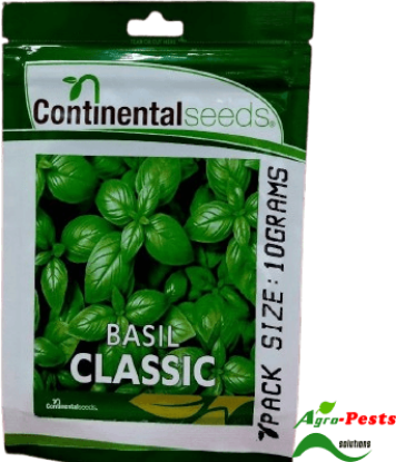 Picture of Basil Continental