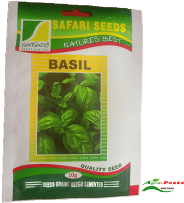Picture of Basil