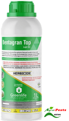 Picture of Bentagran Top