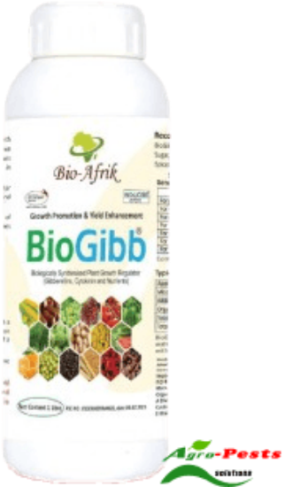 Picture of BioGibb