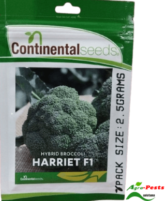 Picture of Broccoli Harriet