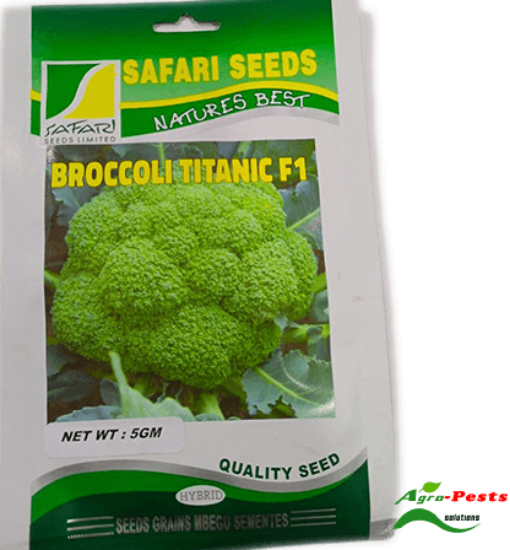 Picture of Broccoli Titanic F1