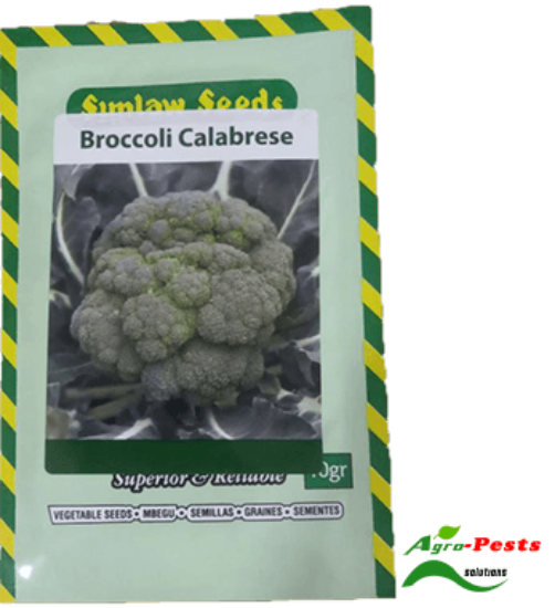 Picture of Brocoli Calabrese