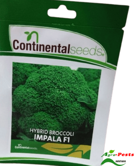 Picture of Brocolli Impala