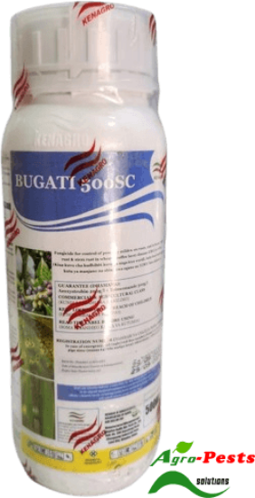 Picture of Bugati 500SC