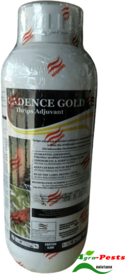 Picture of Cadence Gold