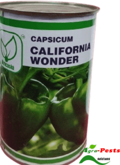 Picture of Californina Wonder Afri
