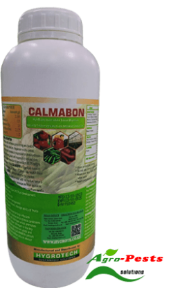 Picture of Calmabon