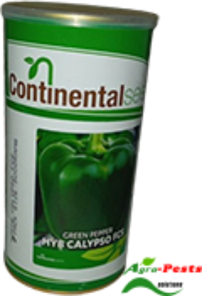 Picture of Calypso
