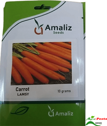 Picture of Carrot Lamsy
