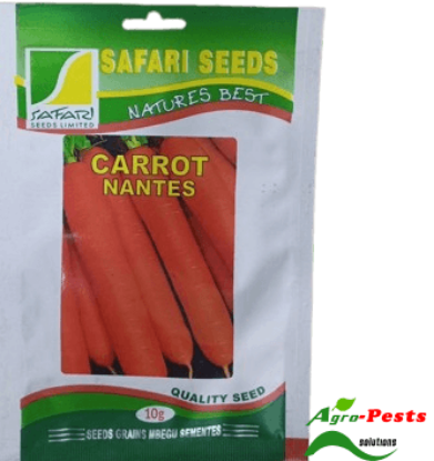 Picture of Carrot Safari