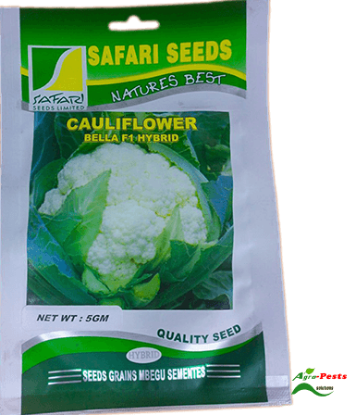 Picture of Cauliflower Bella F1Hybrid