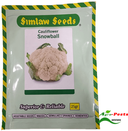 Picture of Cauliflower Snowball