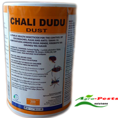 Picture of Chali Dudu