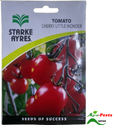 Picture of Cherry little wonder