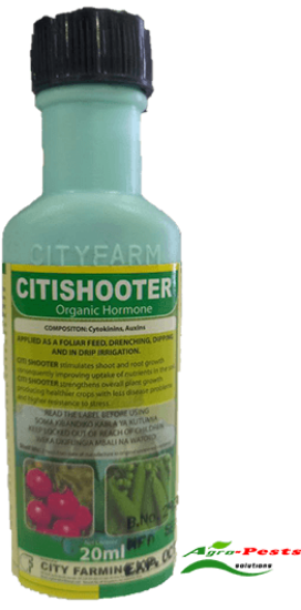 Picture of Citishooter