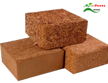 Picture of cocopeat blocks