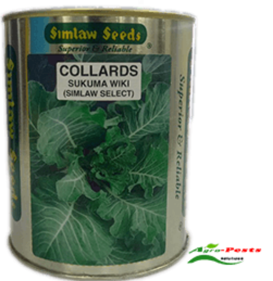 Picture of Collards
