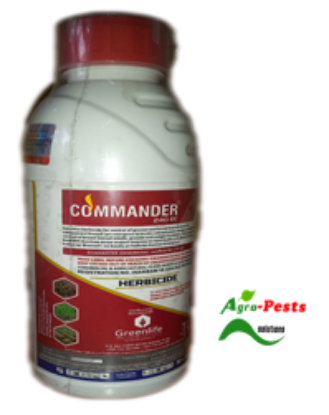Picture of Commander