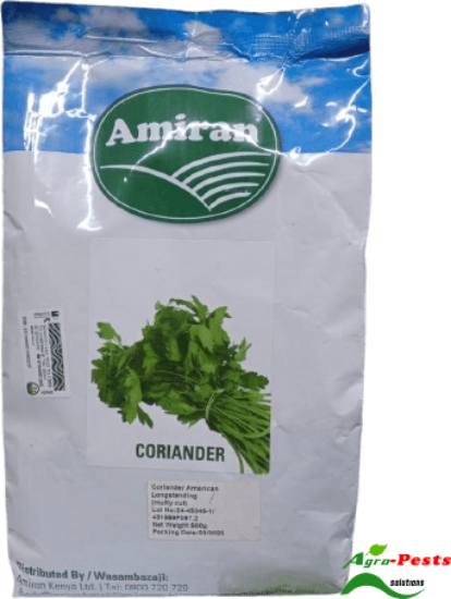 Picture of Coriander Amiran