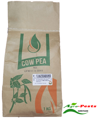 Picture of Cow Pea