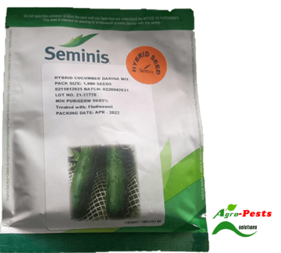Picture of Darina Mix F1 cucumber