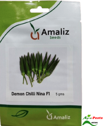 Picture of Demon Chilli Nina F1