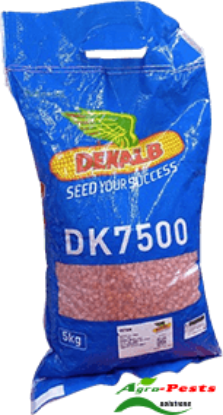 Picture of DK 7500