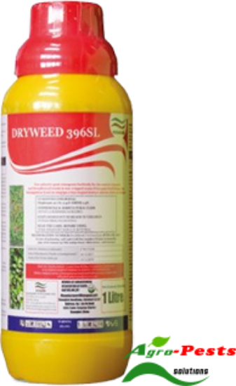 Picture of Dryweed