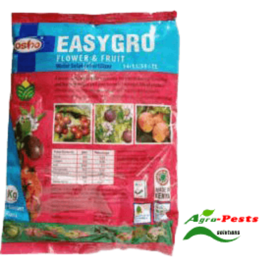 Picture of Easy gro flower and fruiting