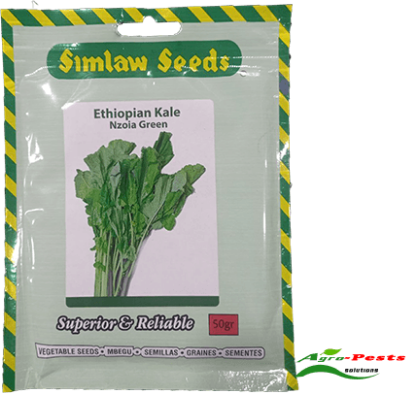 Picture of Ethiopian kale Nzoia Green