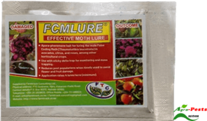 Picture of FCM Lure Trap