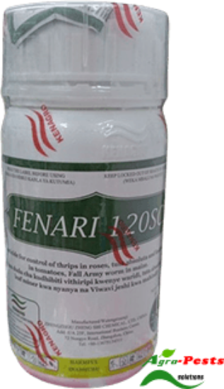 Picture of Fenari 120SC