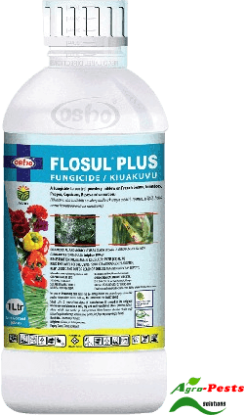 Picture of Flosul Plus