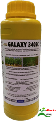 Picture of Galaxy 340EC