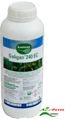 Picture of Galigan 240EC