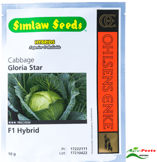 Picture of Gloria Star F1 Cabbage