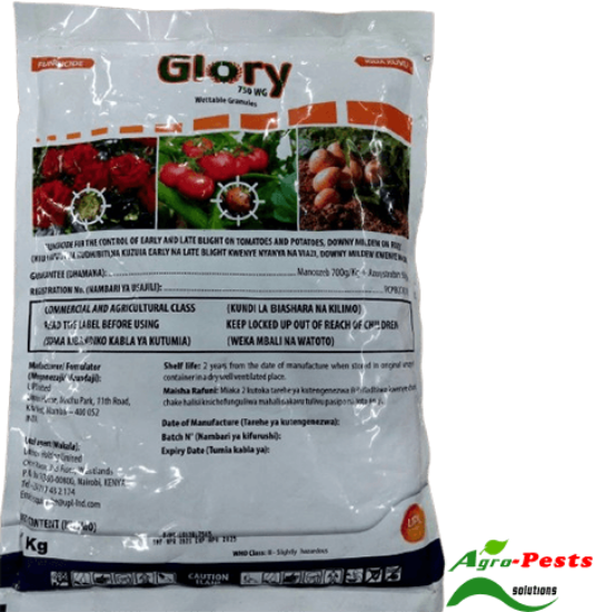 Picture of Glory