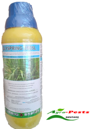 Picture of Glyspring 360SL
