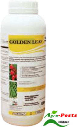 Picture of Golden Leaf