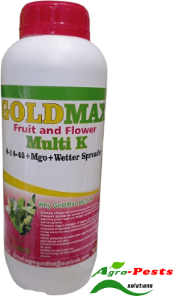 Picture of Goldmax Fruit and Flower
