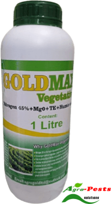 Picture of Goldmax Vegetative